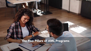 Anti-Money Laundering In The United States