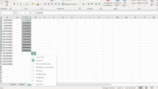 Mastering Excel 365 – Beginner Part 2: Data Entry